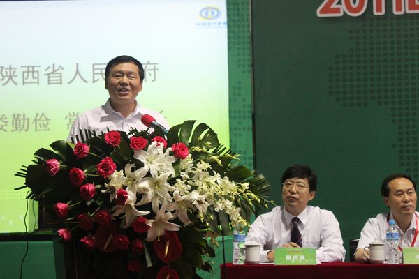 ʡίίʡ¦ڼϯĻʽ´