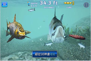 ������֮�������еĴ���