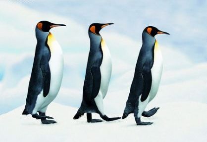 ��ѶΪ��������ô�죿�ⲿѹ�����ڲ�����