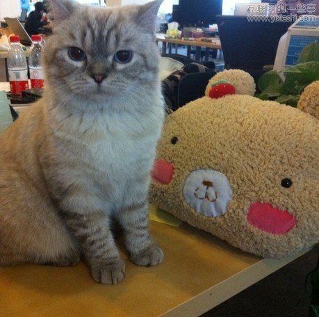 ���굽����ʲô����ʲôӯ����