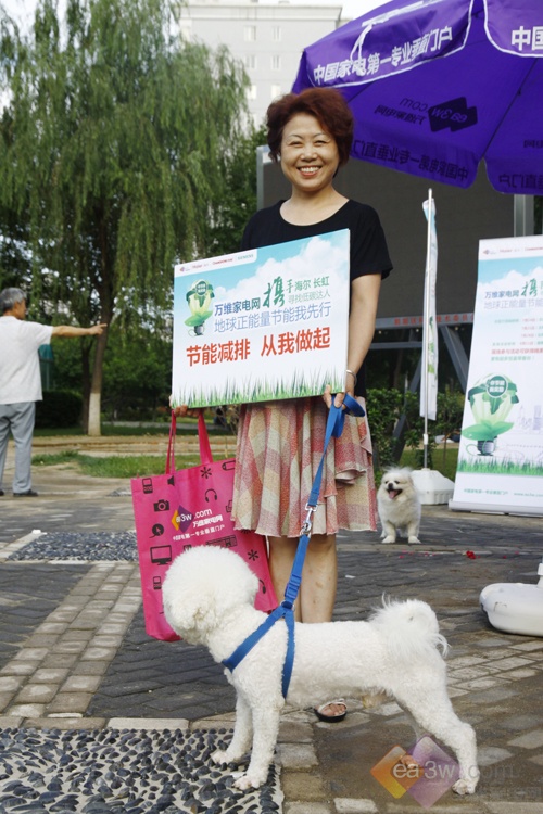 ���Ȳ��� 