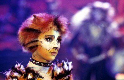 Ѱ��èһ����Ů�� ������è��Ů�ɴ�����