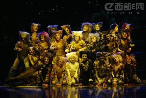 时隔4年华丽转身世界经典音乐剧《猫》10月王