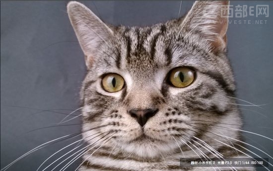 小米手机2样张发布 不是摄像头而是相机