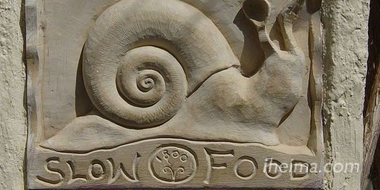 ���ʵ��� ���ʵ��̷�չ����