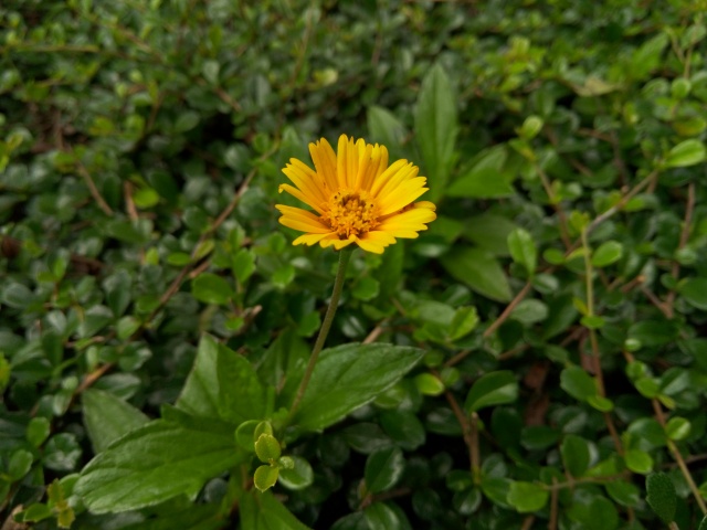 魅族MX4骨灰级玩家体验报告 魅族MX4骨灰级玩家体验报告 - P40918-125602.jpg