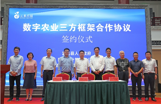 云南水果上“云” 阿里云和云南水果之乡富民县达成合作