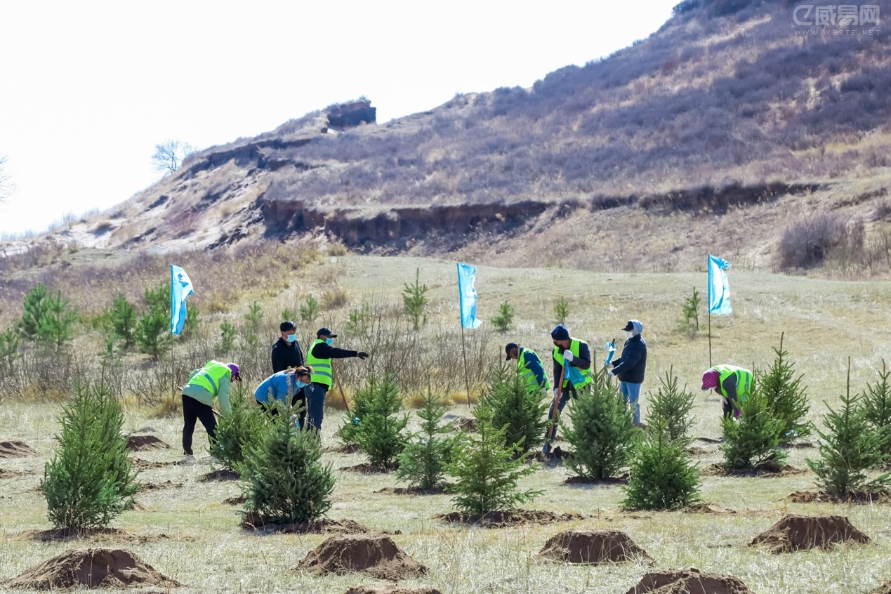 中国绿化基金会蚂蚁森林：你不仅仅是种了一棵树-国际环保在线