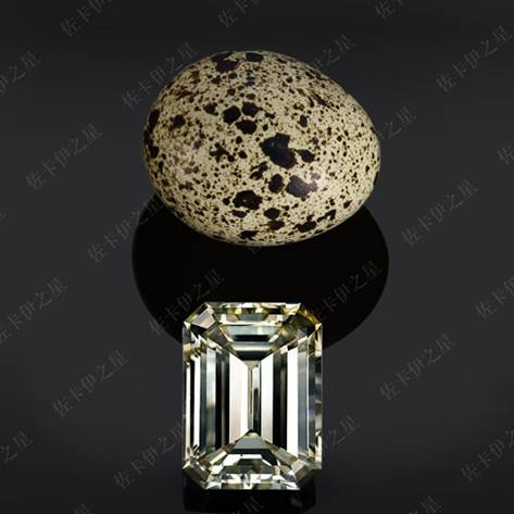 佐卡伊珠宝20.7克拉钻石一元起拍实物图