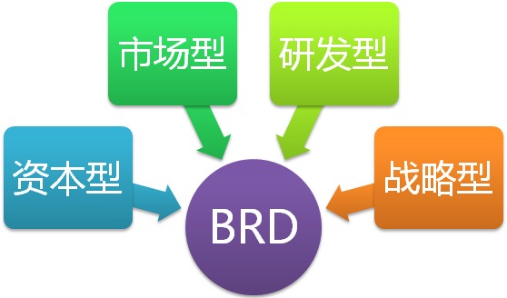 BRD的决策参与模型 BRD的决策参与模型