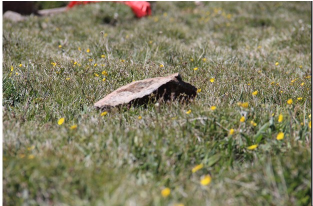 爱旅行爱摄影 QQ空间相册支持20M原图无损上传