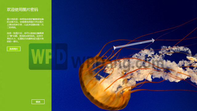 WPDang_Picture password Windows 8你应该知道的十大功能改进