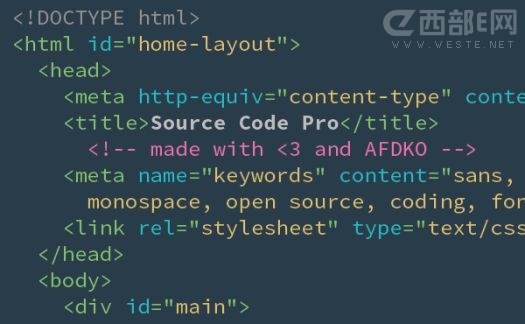 AdobeԴSource Code Pro