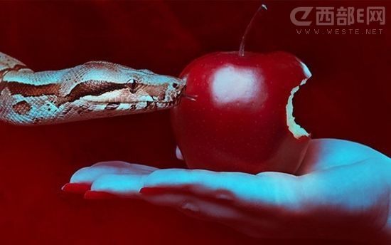 ƻ���Ĳ�ƷΪ�β���й�ܣ�