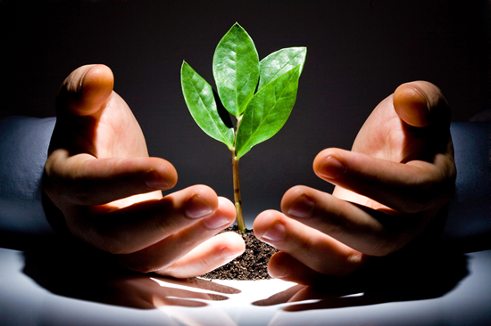 2014&ldquo;�й���������ȷ��ư�&rdquo;�񵥳�¯