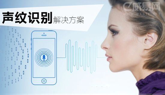 �������� δ�����ǻ���Ϊ����������