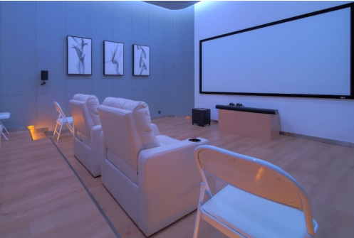 ��ͥӰԺPK��ҵӰԺ����վ˭��