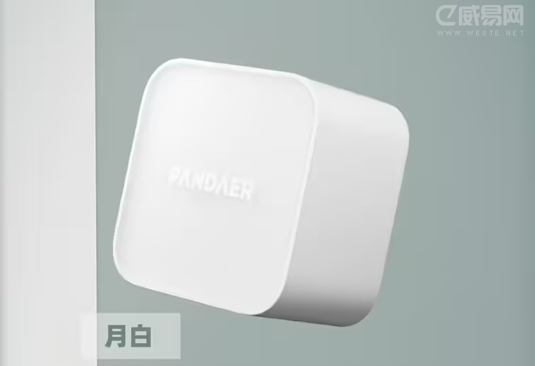 ����PANDAER 80W GaN���������