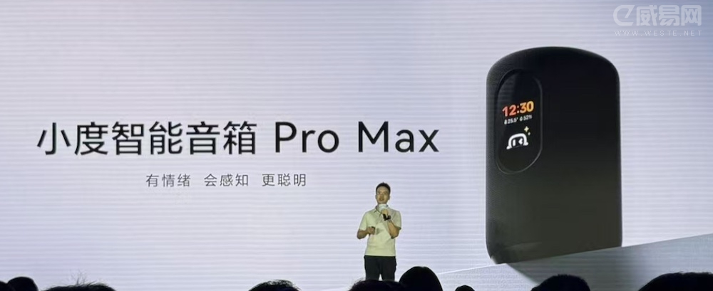 С����������Pro Max